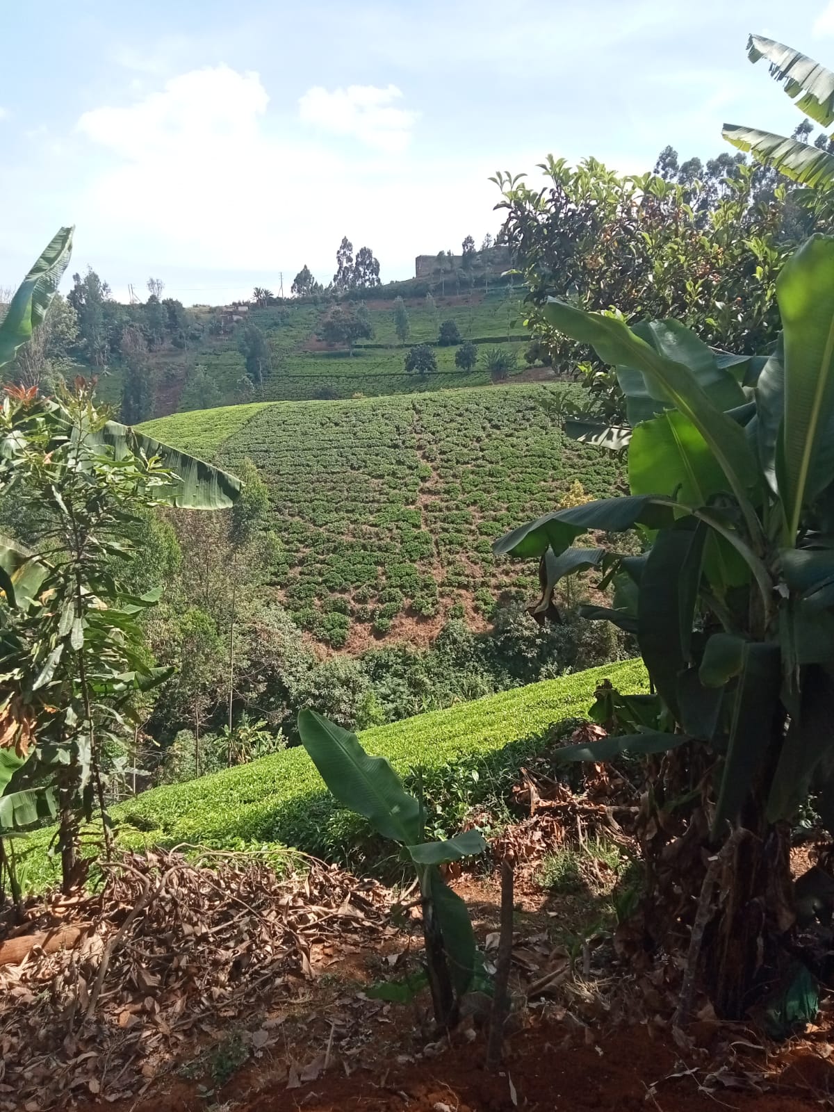 END HUNGER..report by Joy Kamau